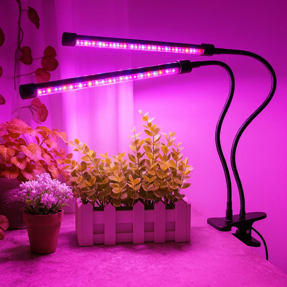 FloraFlare™ Luz de Cultivo - Lumia Estudio