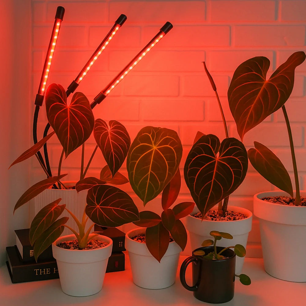 FloraFlare™ Luz de Cultivo - Lumia Estudio