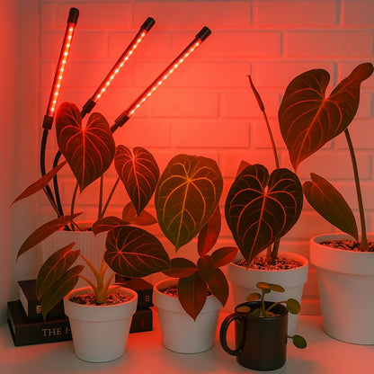 FloraFlare™ Luz de Cultivo - Lumia Estudio