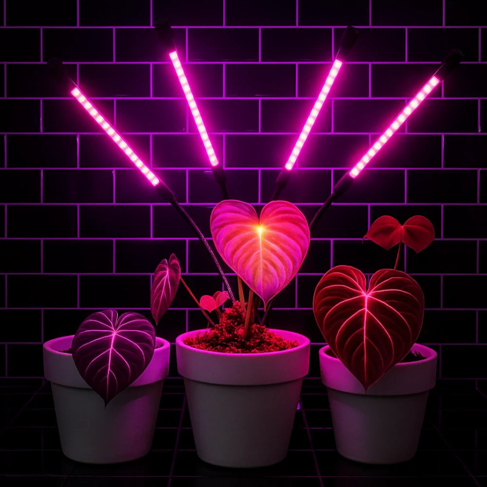 FloraFlare™ Luz de Cultivo - Lumia Estudio