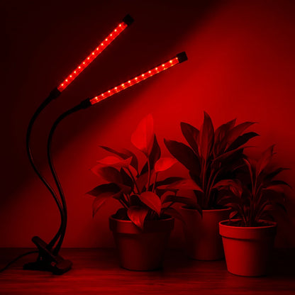 FloraFlare™ Luz de Cultivo - Lumia Estudio