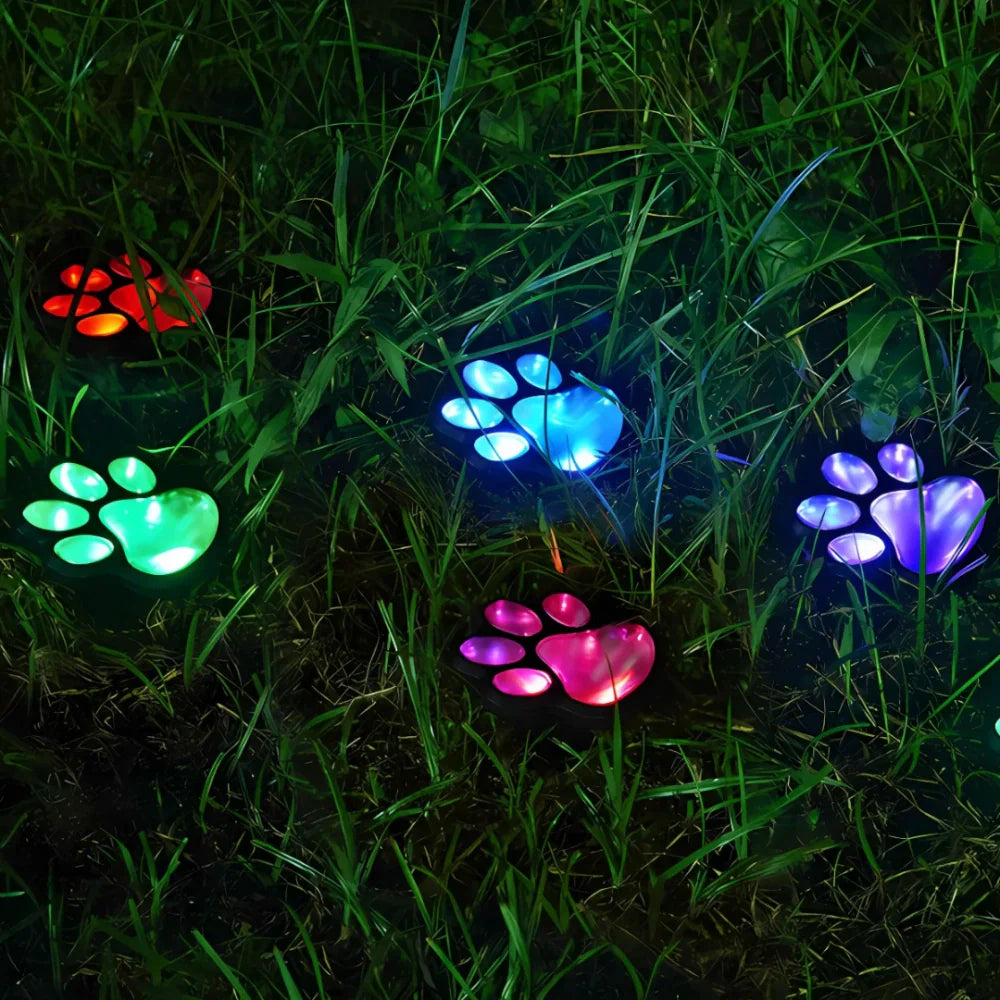PawGlow™ - Lumia Estudio