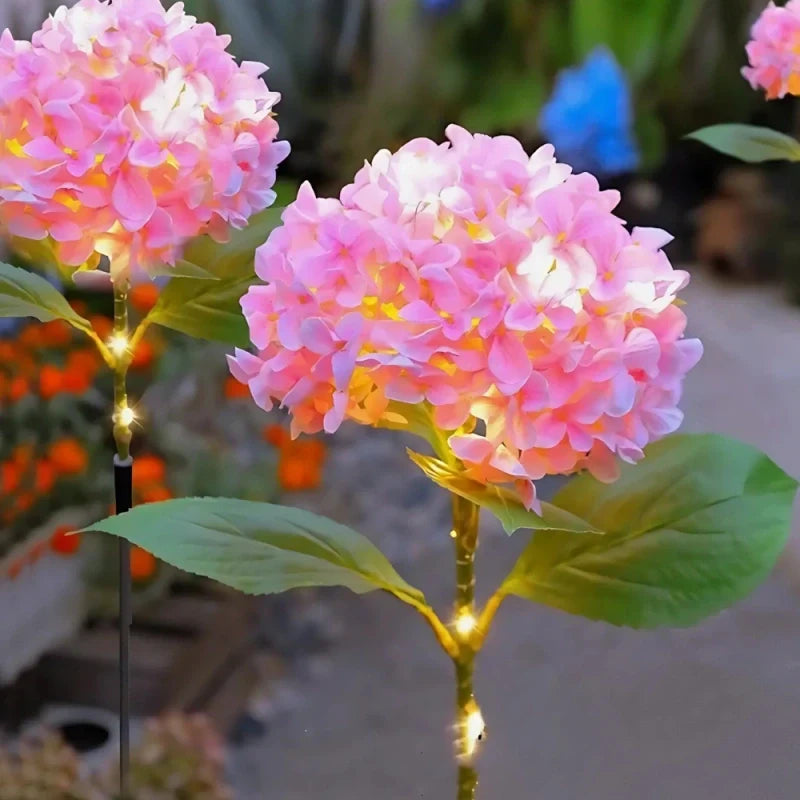 Everbloom™ Flores Solares Luminosas - Lumia Estudio