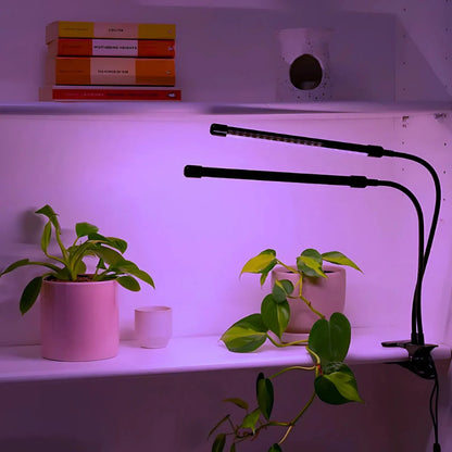 FloraFlare™ Luz de Cultivo - Lumia Estudio