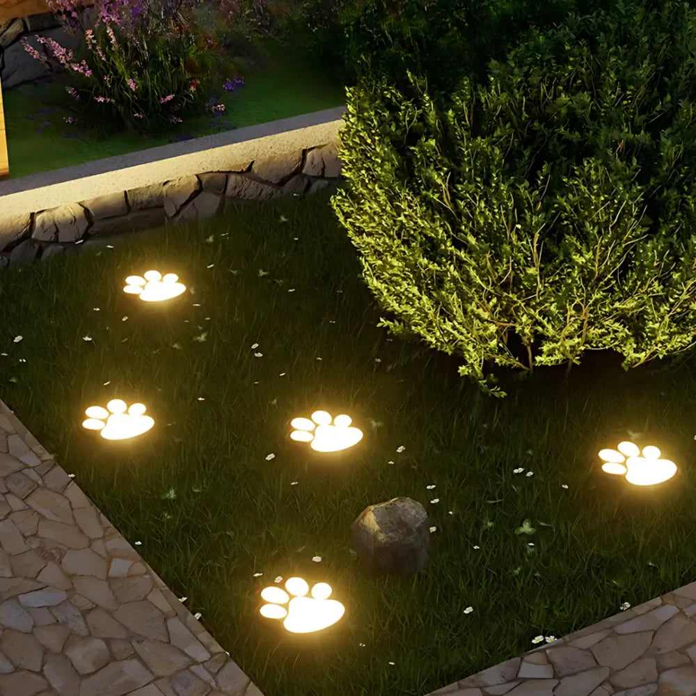 PawGlow™ - Lumia Estudio