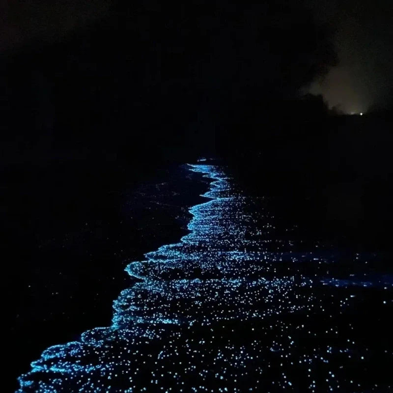GlowPebbles™ Piedras Luminosas - Lumia Estudio