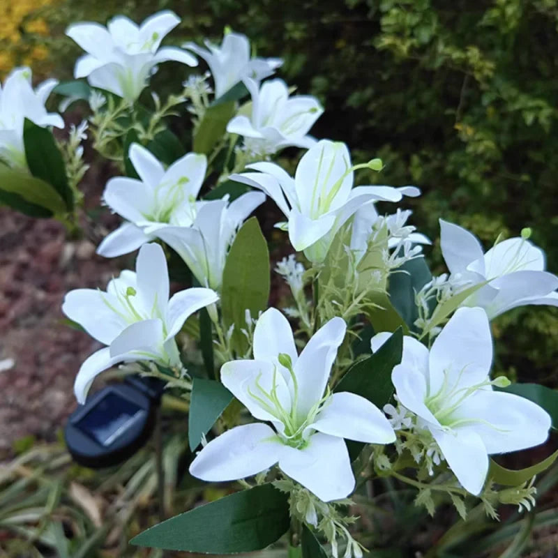 Everbloom™ Flores Solares Luminosas - Lumia Estudio