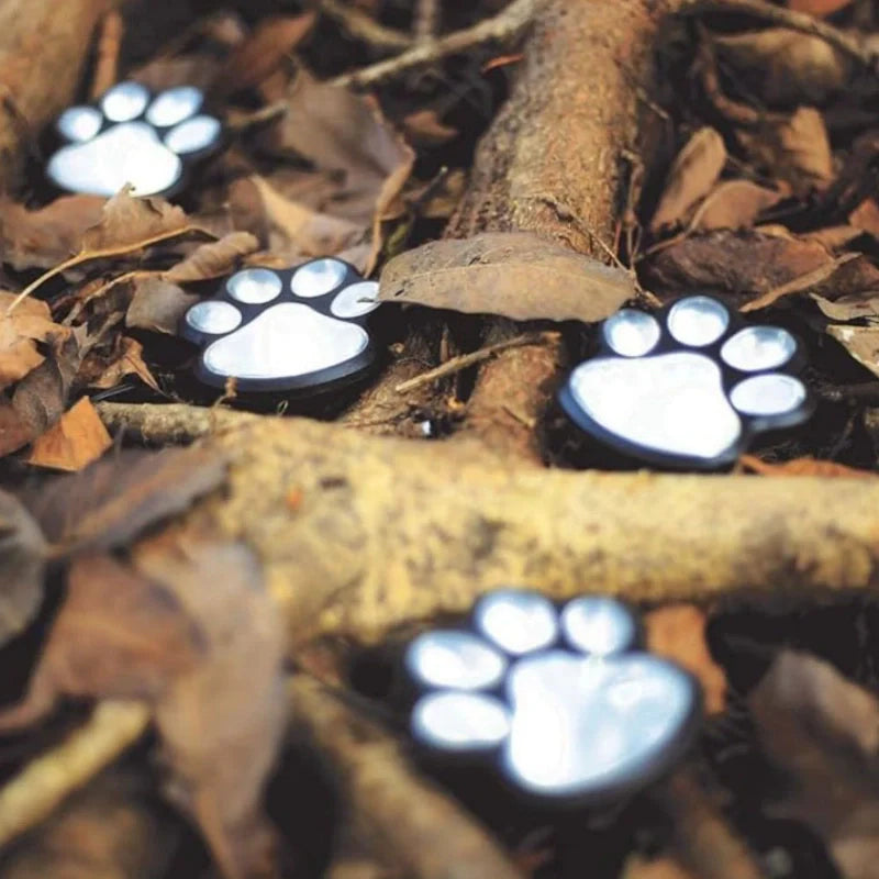PawGlow™ - Lumia Estudio