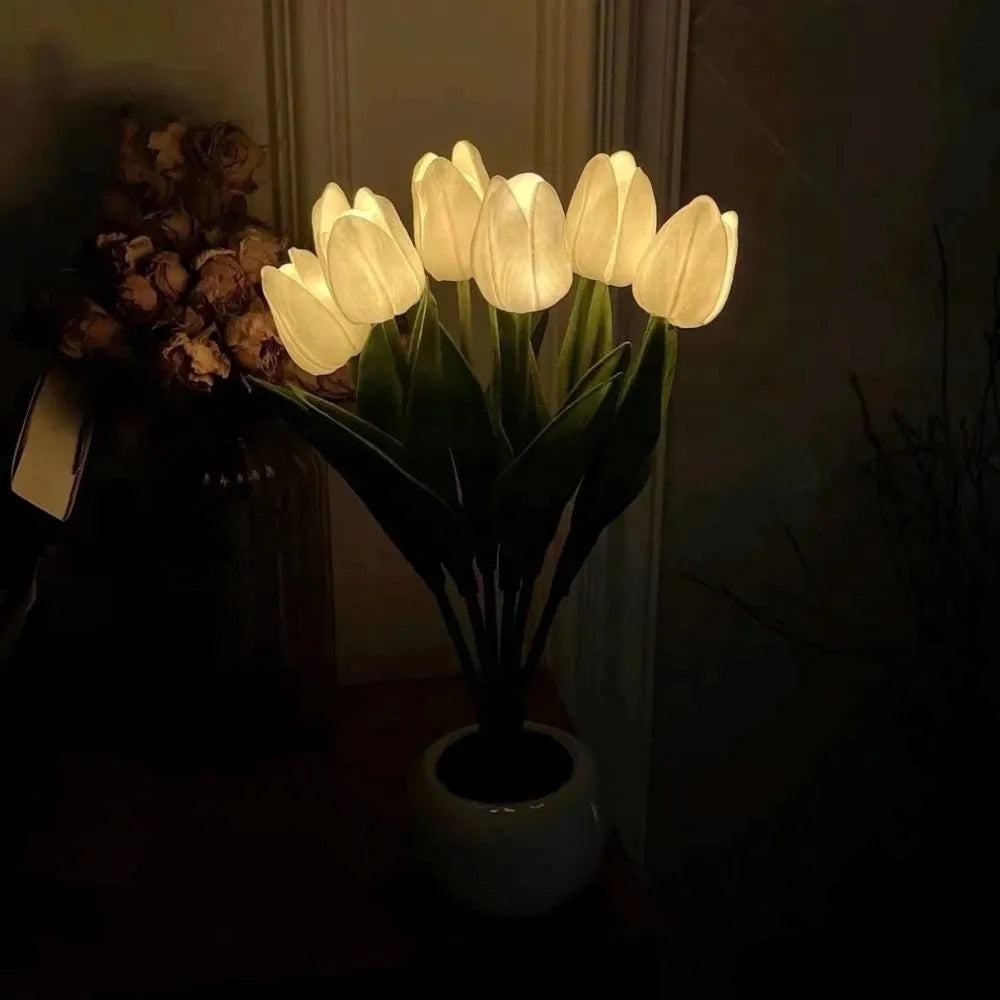 Luz Nocturna Tulipán - Lumia Estudio
