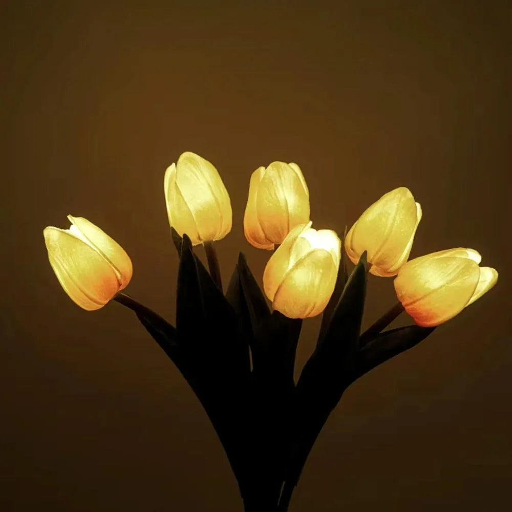 Luz Nocturna Tulipán - Lumia Estudio